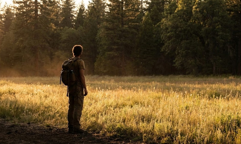 Breaking Free: How to Overcome Dependency and Find Your Path to Lasting Change